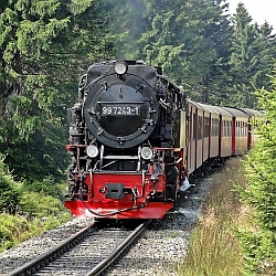 Den Harz erkunden