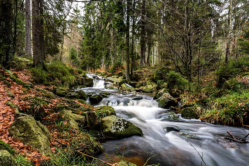 Die Bode Bachlauf