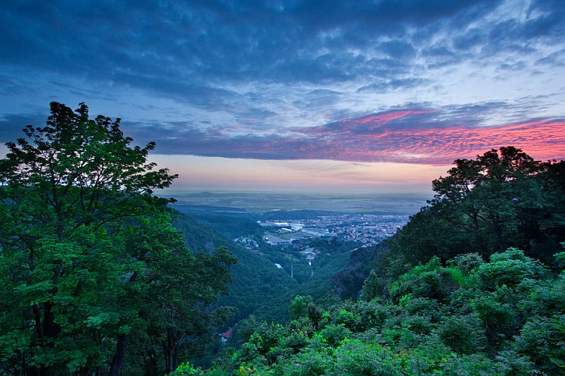0391